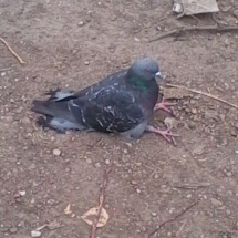 Работники предприятий смогут сидеть стоя. Ничего такого, просто новая технология