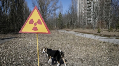 В Чернобыле появится первый веломаршрут. Хорошее направление. И воздух чистый