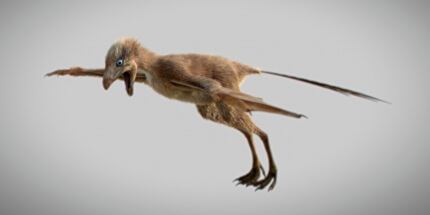 Динозавры-"бэтмены" оказались неудачным экспериментом эволюции