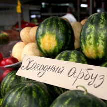 Ученые вырастили дыни и арбузы в арктике