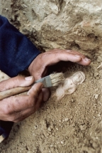 Земля. Фотоувеличение