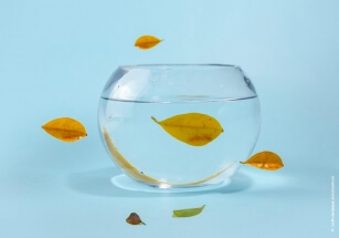 Гринпис создал углеродный калькулятор, который высчитывает климатический след каждого человека