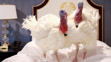 Названы имена избранных для "помилования" Трампом индеек