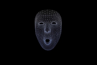 В Москве вводится система распознования горожан по силуэтам