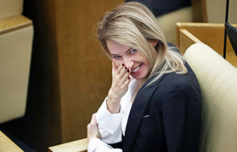 Поклонская пригласила Илона Маска в Крым решить проблему с водой на полуострове