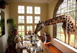 ФАС признала Booking.com нарушителем антимонопольного законодательства