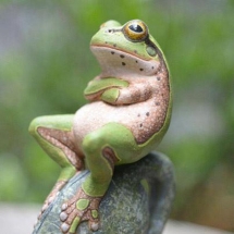 Во Франции лягушек выселяют из пруда по решению суда. Лягушки слишком громко квакали