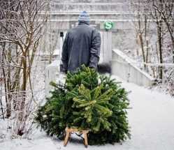 Стало известно, сколько россияне потратили за время новогодних праздников