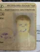 Москва будет участвовать в эксперименте по замене водительских прав на QR-коды