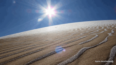 В Алжире и Марокко выпал снег