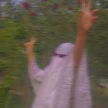 Датчики Tesla зафиксировали привидение на кладбище 