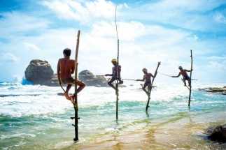 Шри-Ланка открывается для иностранных туристов