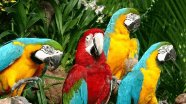 Привившиеся туристы с октября смогут отдыхать на Пхукете без карантина 