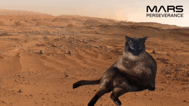 151474546_195859095335961_9112858570973457469_n