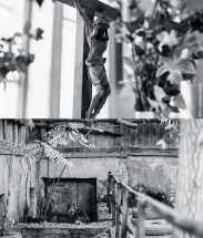 Берлин в степи. Колонка Александра Рохлина 