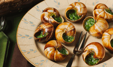 В Россию разрешили завозить племенных улиток из Европы