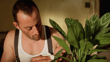 Московская полиция разыскивает снайпера для работы на культурно-массовых мероприятиях