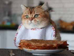  В Нижегородской области запретили блины с начинкой на Масленицу