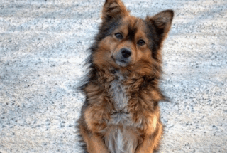 81B858C2-7F28-4652-85BE-7B0BAD442465