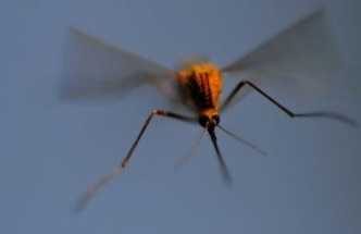 C740884F-441C-4237-8F6F-A1FDBBB767F9