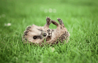 7E145B4E-88B4-4672-A589-339AD74E7CF4