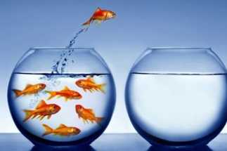 Каждый четвёртый россиянин после увольнения не прощается с коллегами 