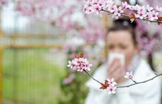 Москвичей предупредили о пыльцевом дожде 