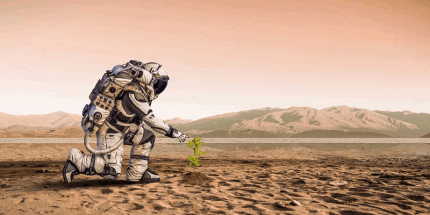 Маск предупредил о том, что первопроходцы Марса должны быть готовы к смерти