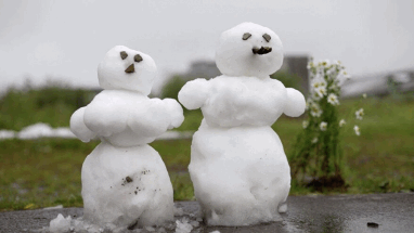 Москвичей ожидают летние заморозки