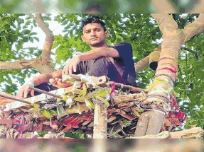 Заболевший коронавирусом Шива провел 11 дней на дереве, чтобы не заразить семью