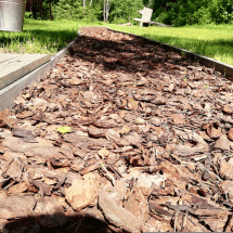 В «Лосином Острове» появится тропа для хождения босиком