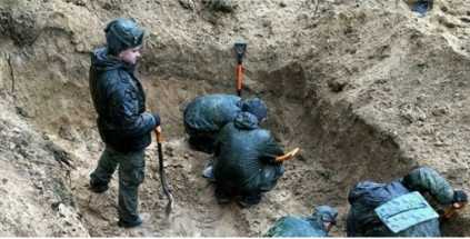 При раскопках был обнаружен 5000-летний штамм чумы 