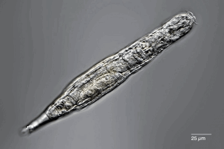 BDCADF32-9804-42D4-B48E-09CD9493B56A