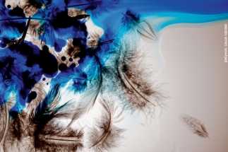 Нырнуть в небо. Колонка Иосифа Райхельгауза 