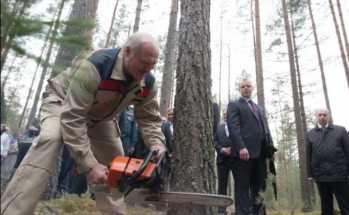 Лукашенко позволили возглавить российскую партию