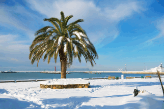 Квартиры в сочинских новостройках стали дороже московских