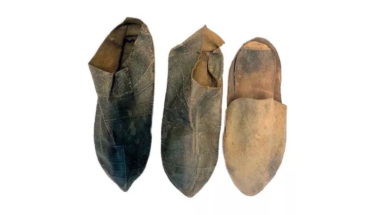 Ученые определили рост Микеланджело