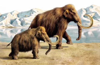 Американские ученые хотят возродить мамонтов, чтобы заселить ими Сибирь 