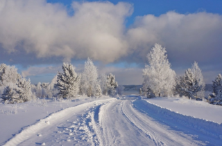 Более половины москвичей против переноса столицы в другой город