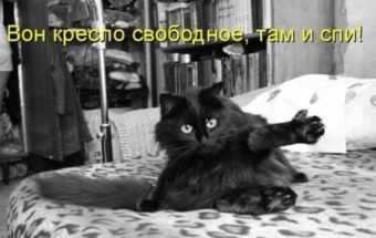 Россияне рассказали, сколько тратят на домашних питомцев