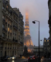 ВОЗ предлагает не требовать прививку от COVID при международных путешествиях