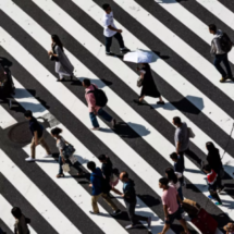 Стал известен уровень коллективного иммунитета к COVID-19 в Москве