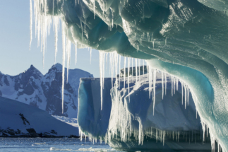 Таяние вечной мерзлоты высвободит древние вирусы - ученые не знают, что от них ожидать