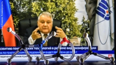 Андрей Колесников о том, какая схватка разыгралась на безобидном совещании о развитии генетики в России