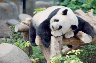 В 2022 году россияне будут отдыхать 118 дней