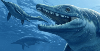 Ученые обнаружили ранее неизвестный вид ихтиозавров «кыхытысука»