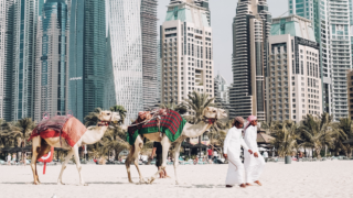 263433611_646598969690399_1911869509945233579_n