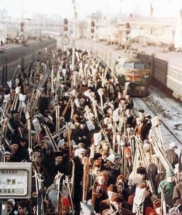 В электричках разрешили бесплатно возить лыжи любого размера