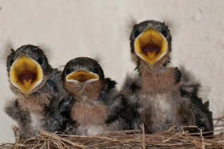 Синоптик назвал две «работающие» народные приметы, по которым можно определить погоду