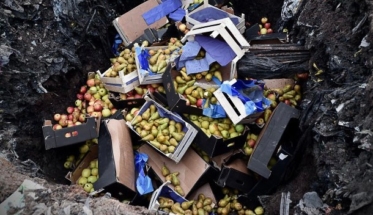 Депутаты просят запретить уничтожение конфискованных продуктов